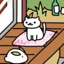 しろねこさん　いつもの１