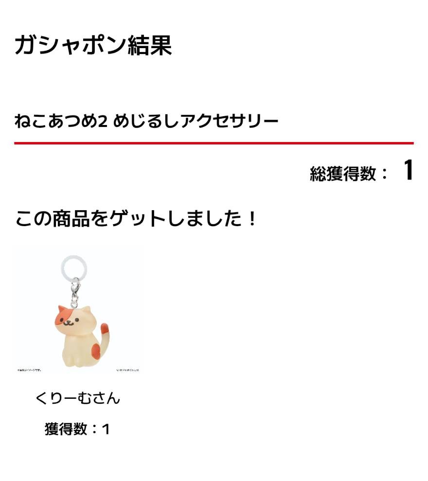 めじるしアクセサリー3回目