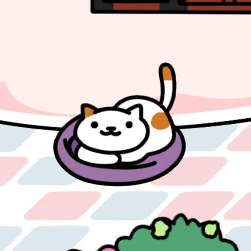 とびがらさん　ベリーコクーン_1