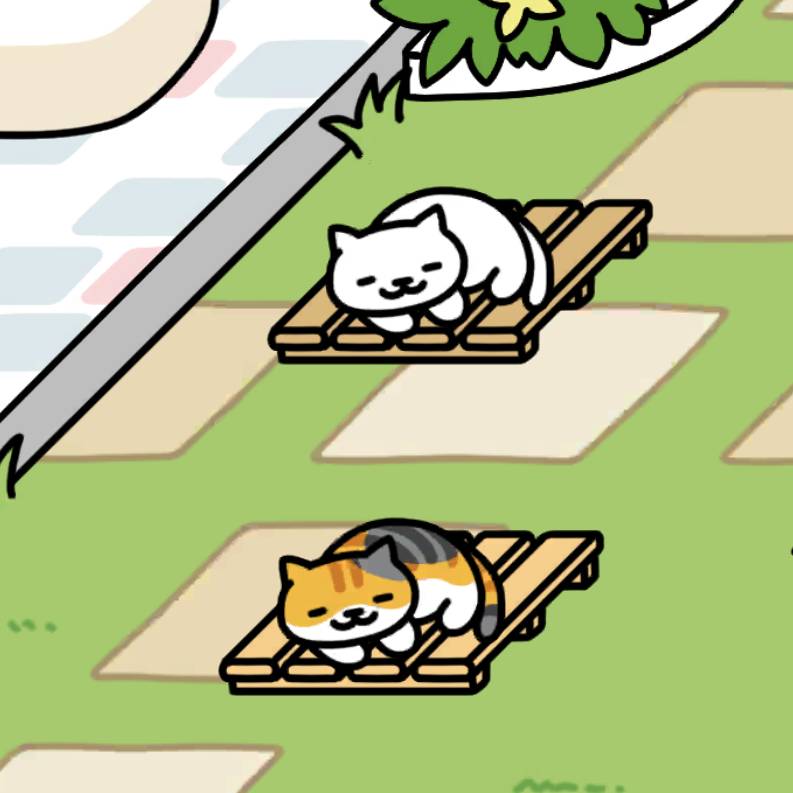 松すのこ&桧すのこ