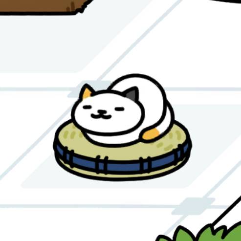 しろみけさん　い草座布団（紺）１