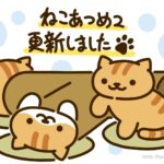 おもしろい模様の新ねこさんが登場！_アイキャッチ