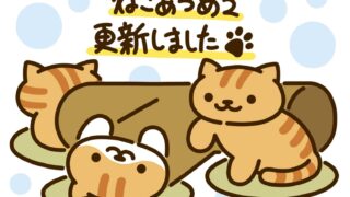 おもしろい模様の新ねこさんが登場！_アイキャッチ