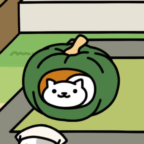 かぼちゃハウス_2