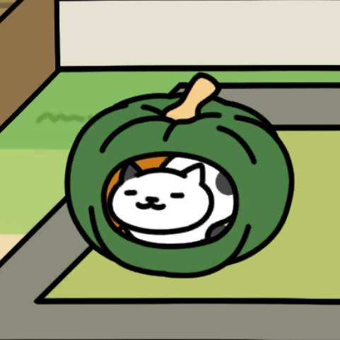 かぼちゃハウス_3