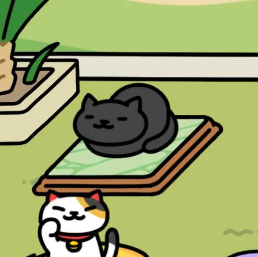 くろねこさん　ねこのリゾート