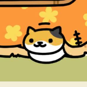 みけさん　カフェスペース