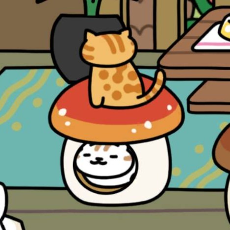 きのこハウス　すぽっとさん、しろちゃうずさん