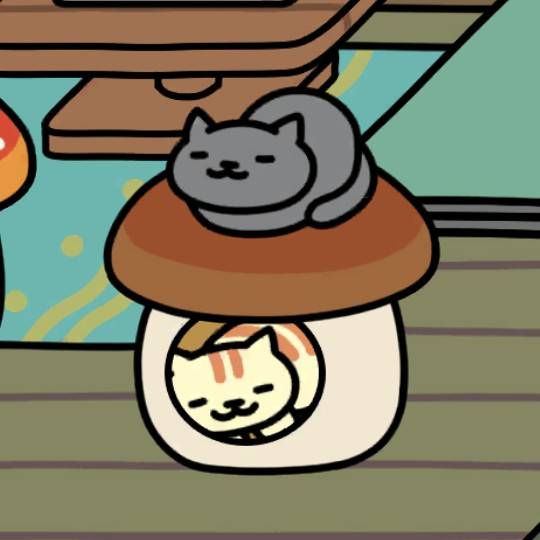 しいたけハウス　はいいろさん、くりーむとらさん