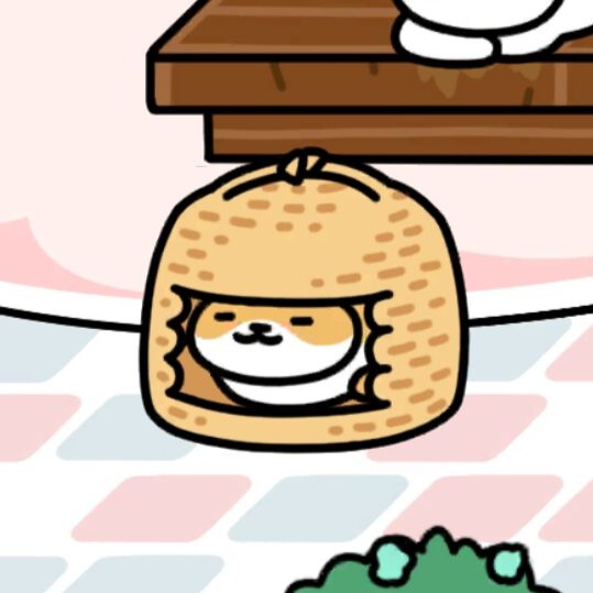 しろきじさん　ねこちぐら