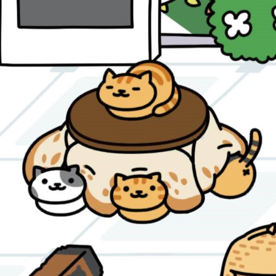 まるこたつ　ちゃとらさん　はいぶちさん　すぽっとさん　きじとらさん