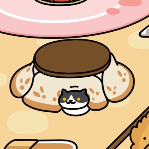 まるこたつ　はちわれさん