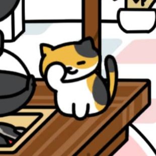 みけさん　ねむねむ