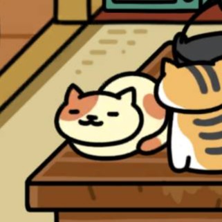 くりーむさん　池と床の間