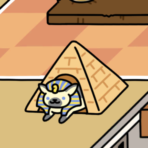 すふぃんさん　いつもの１