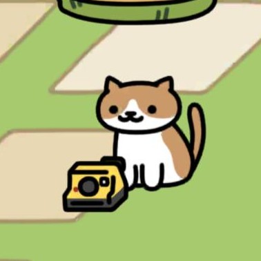 ちゃはちさん　インスタントカメラ　フラワーガーデン