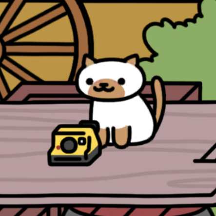 みけさん　インスタントカメラ　ねこのリゾート