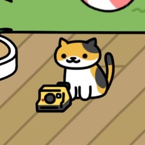 みけさん　インスタントカメラ　ねこのリゾート