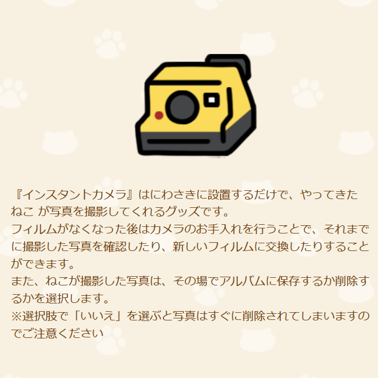 インスタントカメラ　解説