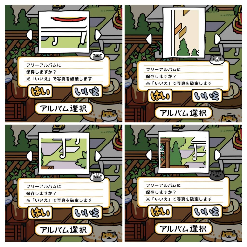 2.ねこが撮った写真