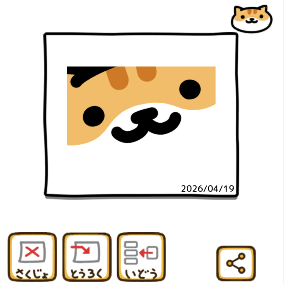 しろちゃとらさん　ドアップ　アルバム