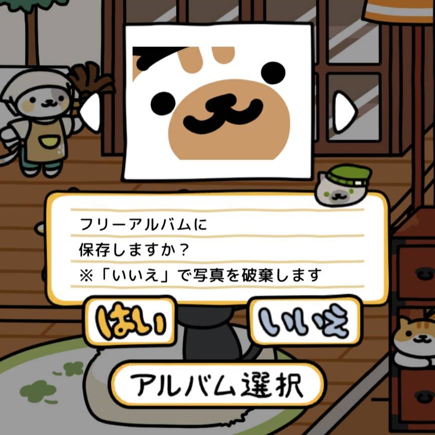 ふぉとさん　撮影