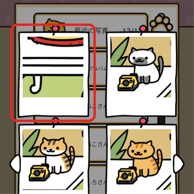 インスタントカメラの最新の写真