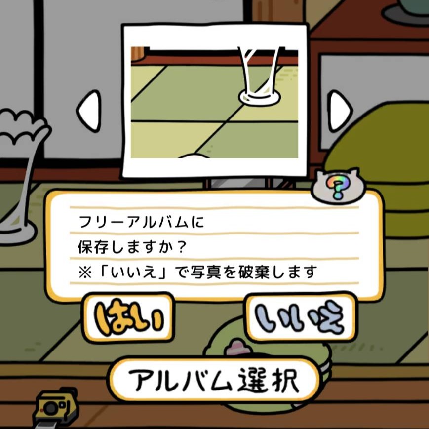 マイねこさん　インスタントカメラ　撮影