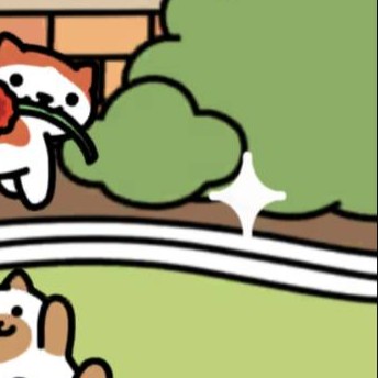 ねこ銭　いつもの２-２